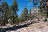 Mount San Jacinto State Park near San Diego