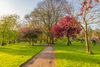 Best Parks in Manchester