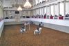 Escuela Española de Equitación en Viena