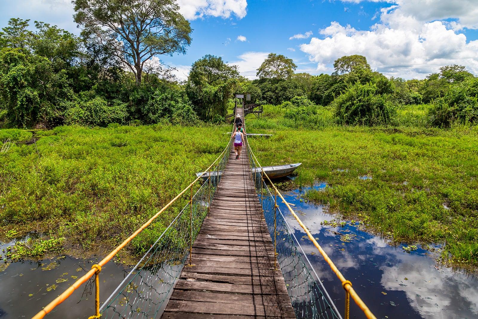 Dicas valiosas do que fazer no Pantanal