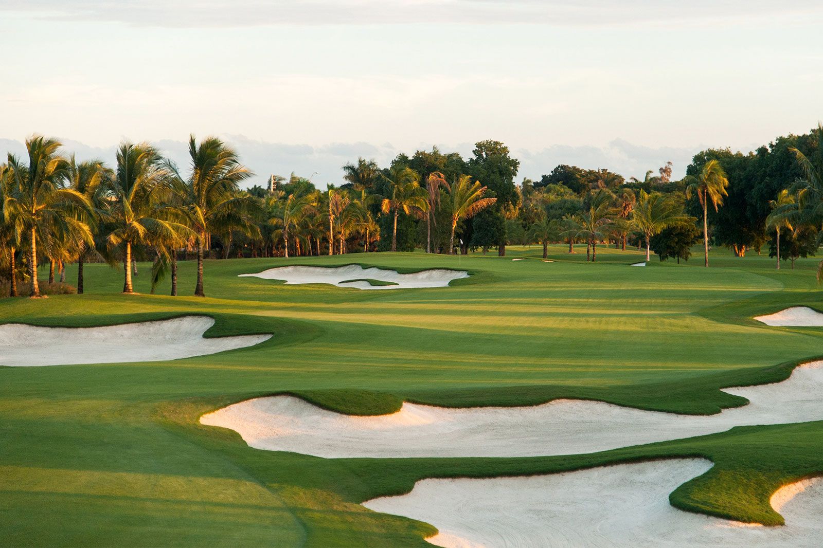 Sand pits on a golf course.