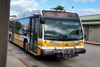 Foto di <a href="https://commons.wikimedia.org/wiki/File:Honolulu_TheBus_Route_433_(209)_7-25-2014.jpg" target="_blank" rel="noreferrer">Pmattes</a> (<a href="https://creativecommons.org/licenses/by-sa/3.0/" target="_blank" rel="noreferrer">CC BY-SA 3.0</a>) modificata