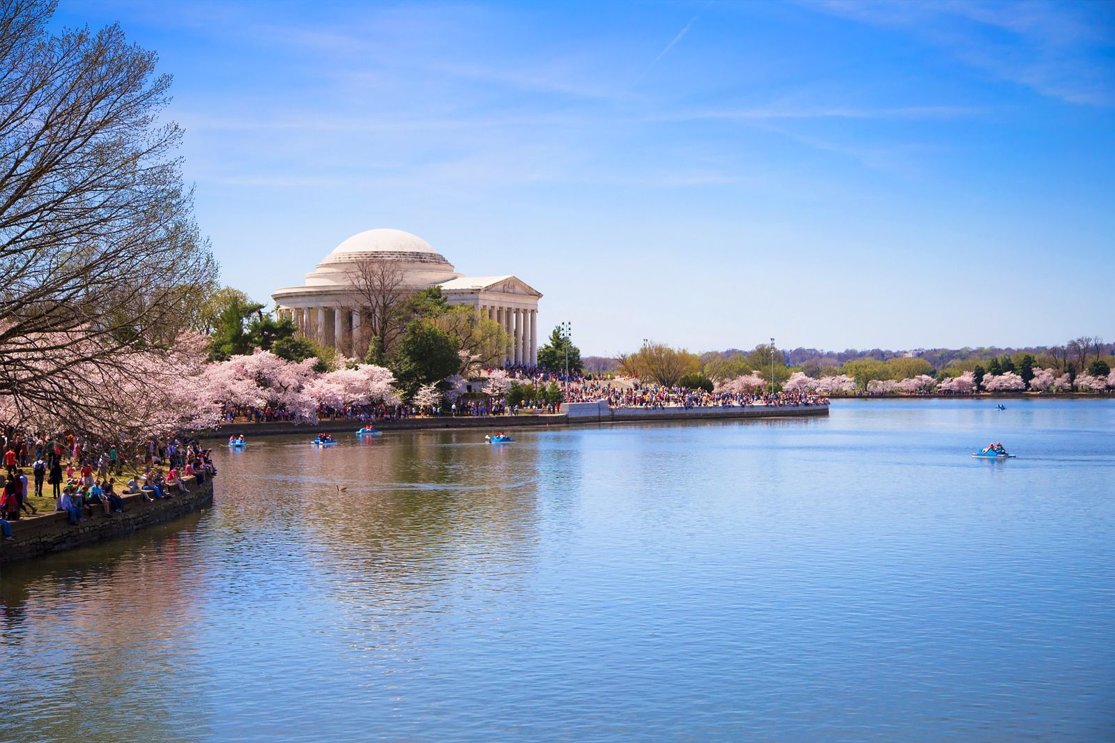 Best Things to Do for Couples in Washington DC