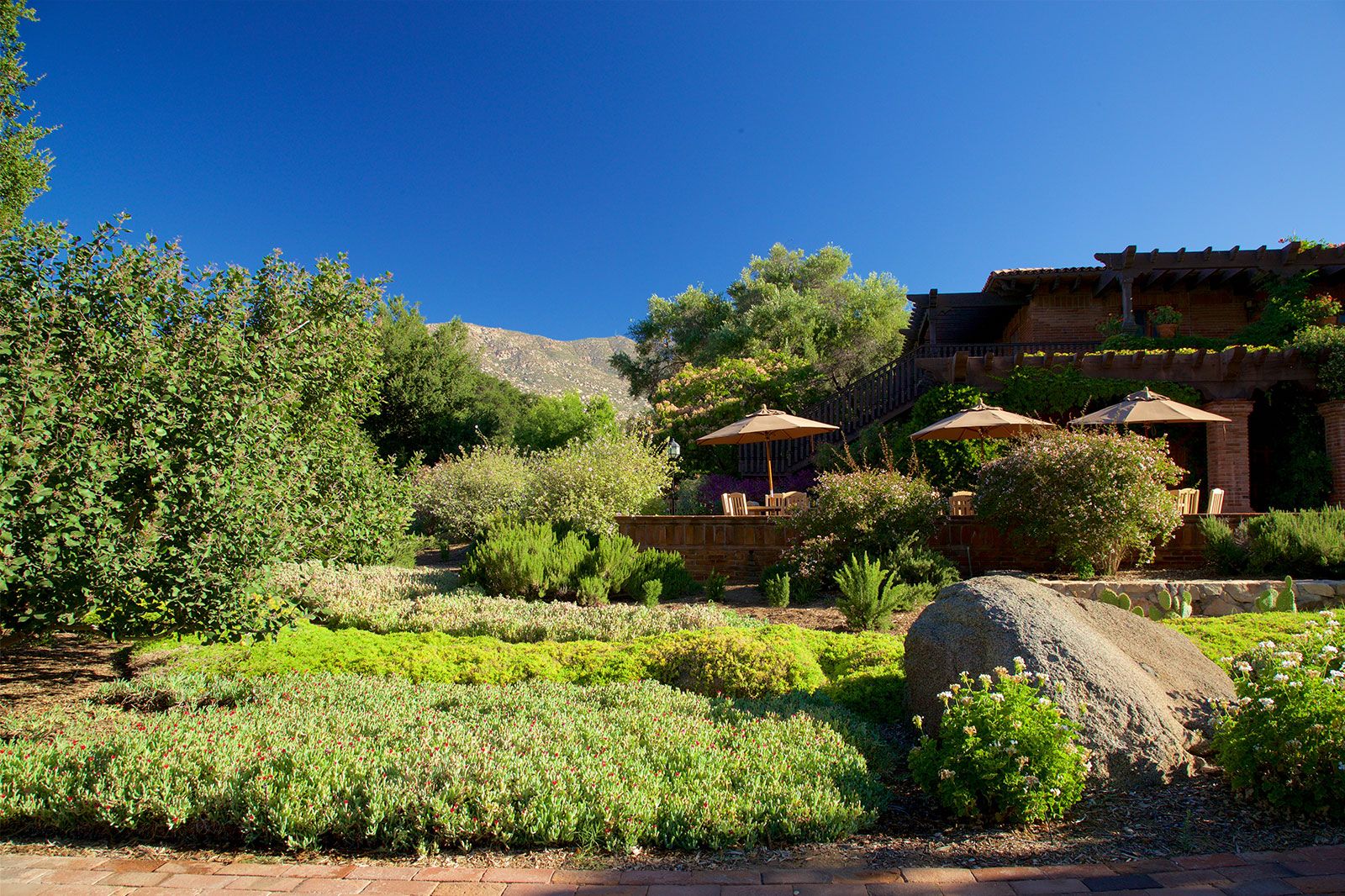 A lush green eating area on a lawn.
