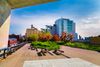 The High Line in New York