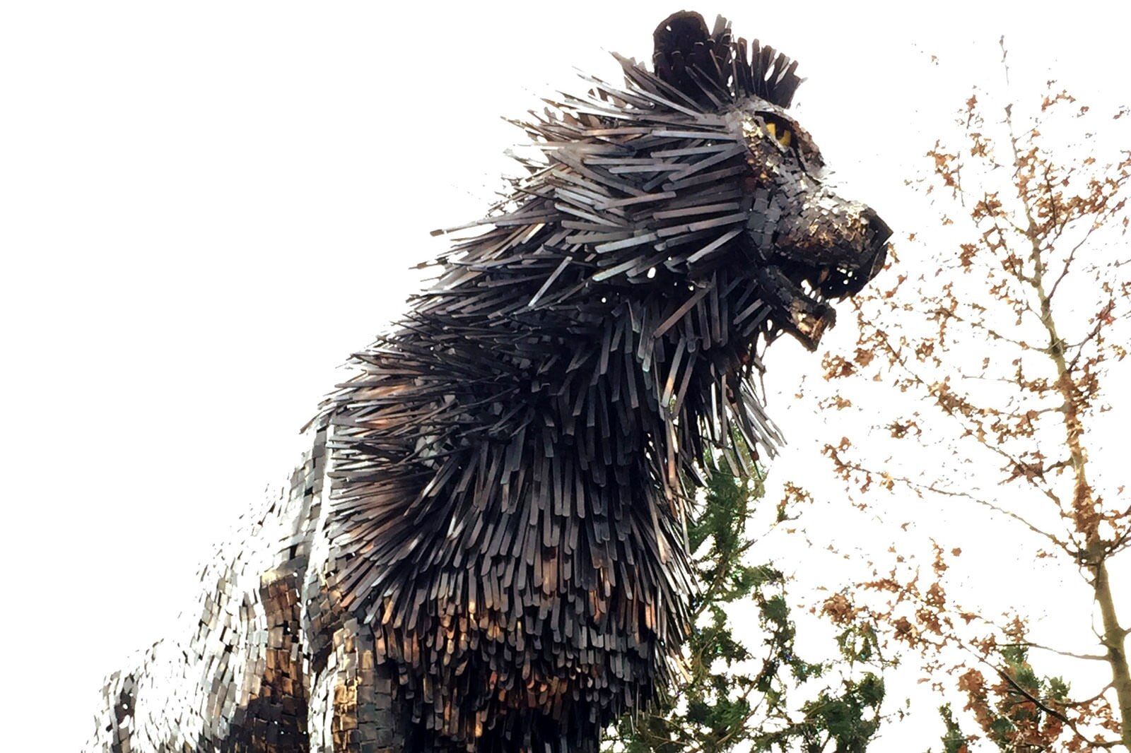 Foto de <a href="https://www.flickr.com/photos/bowmanpics/36064766453" target="_blank" rel="noreferrer">Paul Bowman</a> (<a href="https://creativecommons.org/licenses/by/2.0/" target="_blank" rel="noreferrer">CC BY 2.0</a>)  modificada