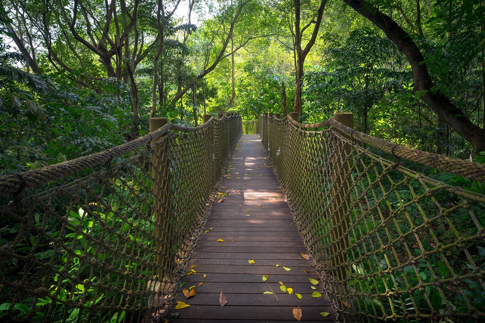 Sungei Buloh Nature Park