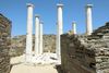 House of Dionysus in Delos