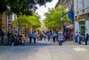 Best Places to Go Shopping in Guadalajara