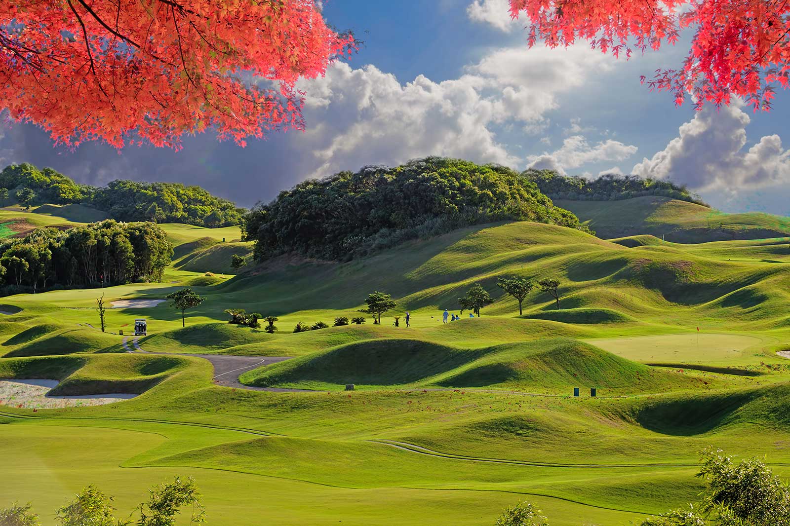 Rolling hills on a golf course, trees with colourful leaves.