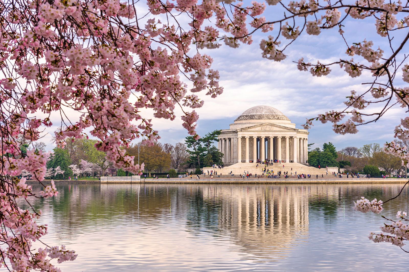 Washington, DC at the Tidal Basin and Jefferson Memorial.