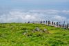 Best Outdoor Adventures on Jeju Island