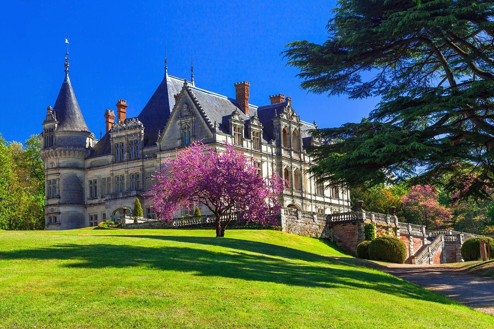 Castle surrounded by trees.
