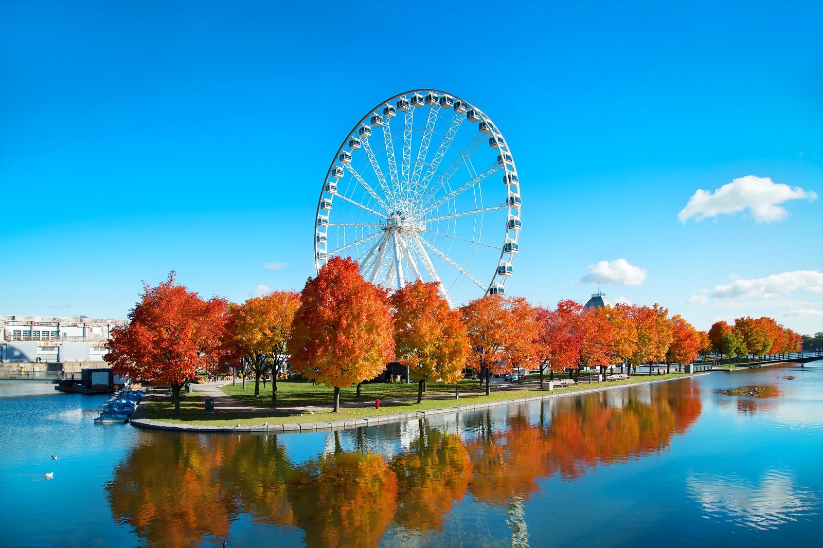 Best Things to Do in Montreal with Kids