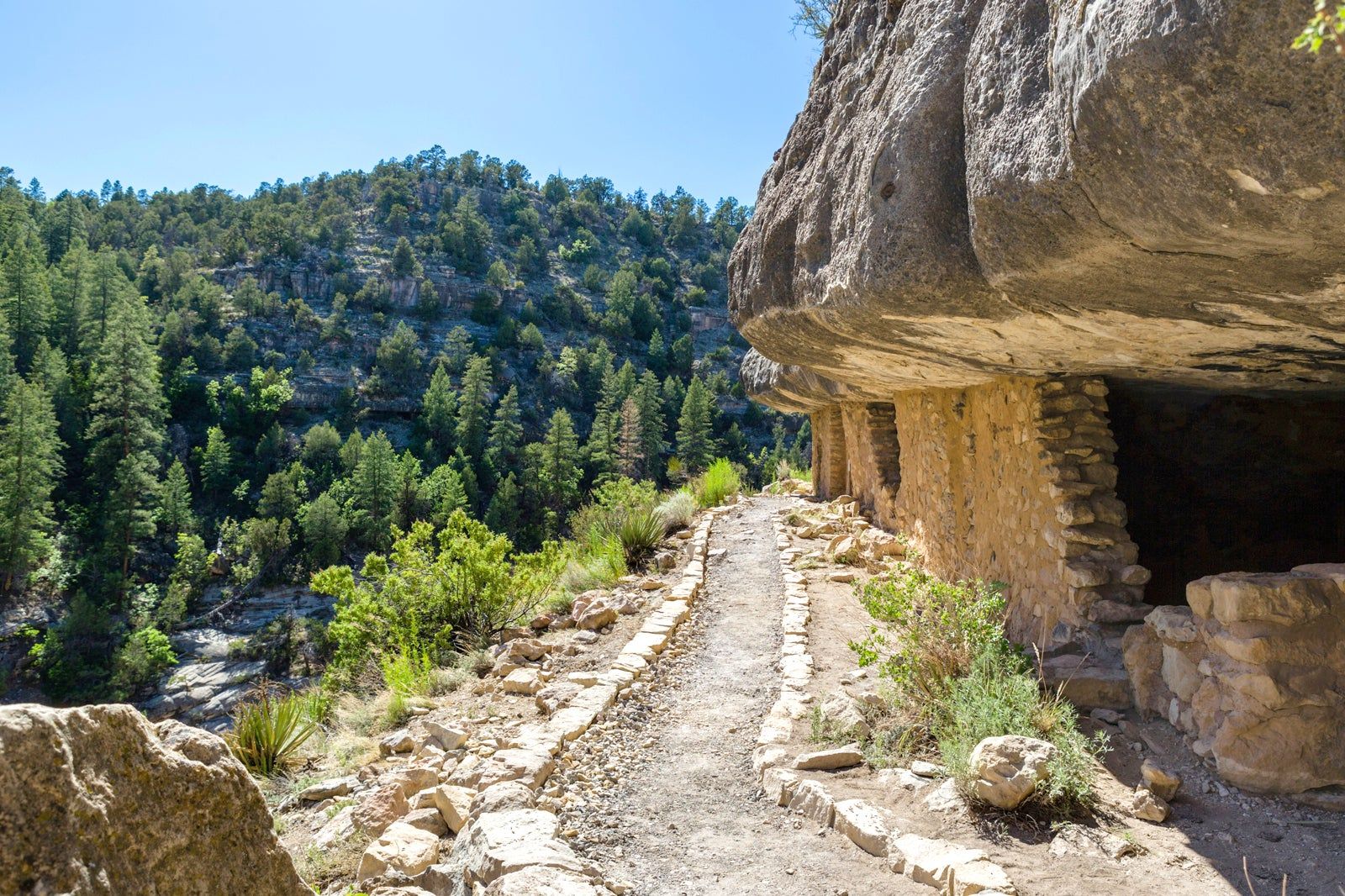 Best Things to do in Flagstaff