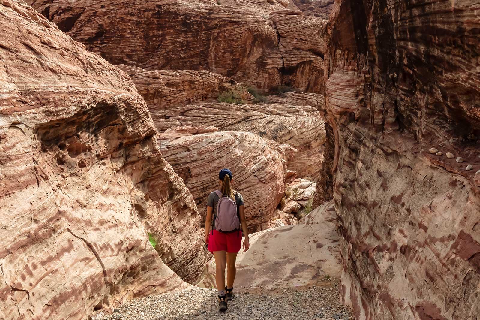 A hiker on a canyon trail.