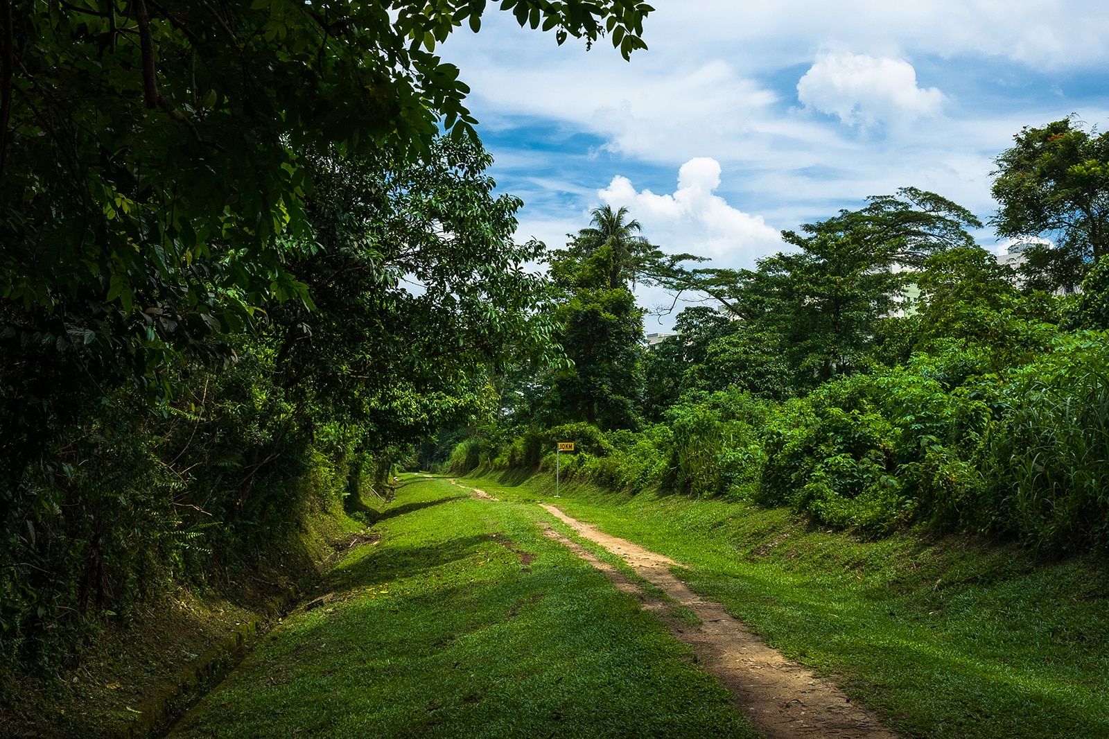 Bukit Timah Nature Reserve