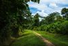 Bukit Timah Nature Reserve