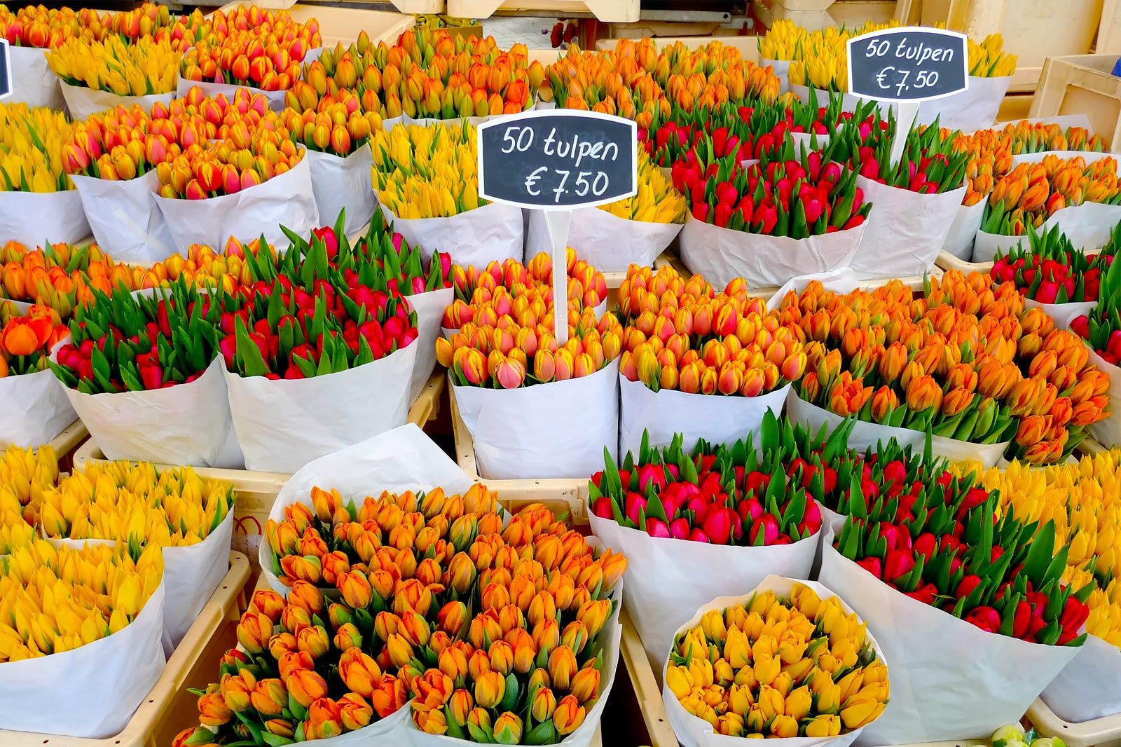 Shopping in Amsterdam