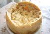 photo by <a href="https://commons.wikimedia.org/wiki/File:Casu_Marzu_cheese.jpg" target="_blank" rel="noreferrer">Shardan</a> (<a href="https://creativecommons.org/licenses/by-sa/2.5/" target="_blank" rel="noreferrer">CC BY-SA 2.5</a>) modified