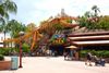 T-Rex Café at Disney Springs Orlando