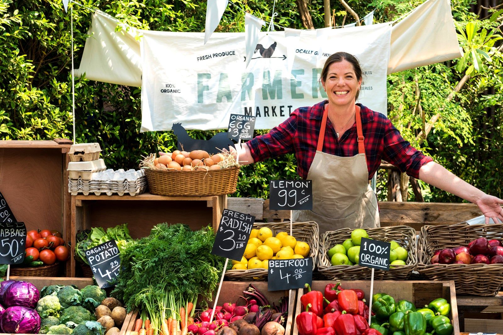 Best Markets in Cape Cod 