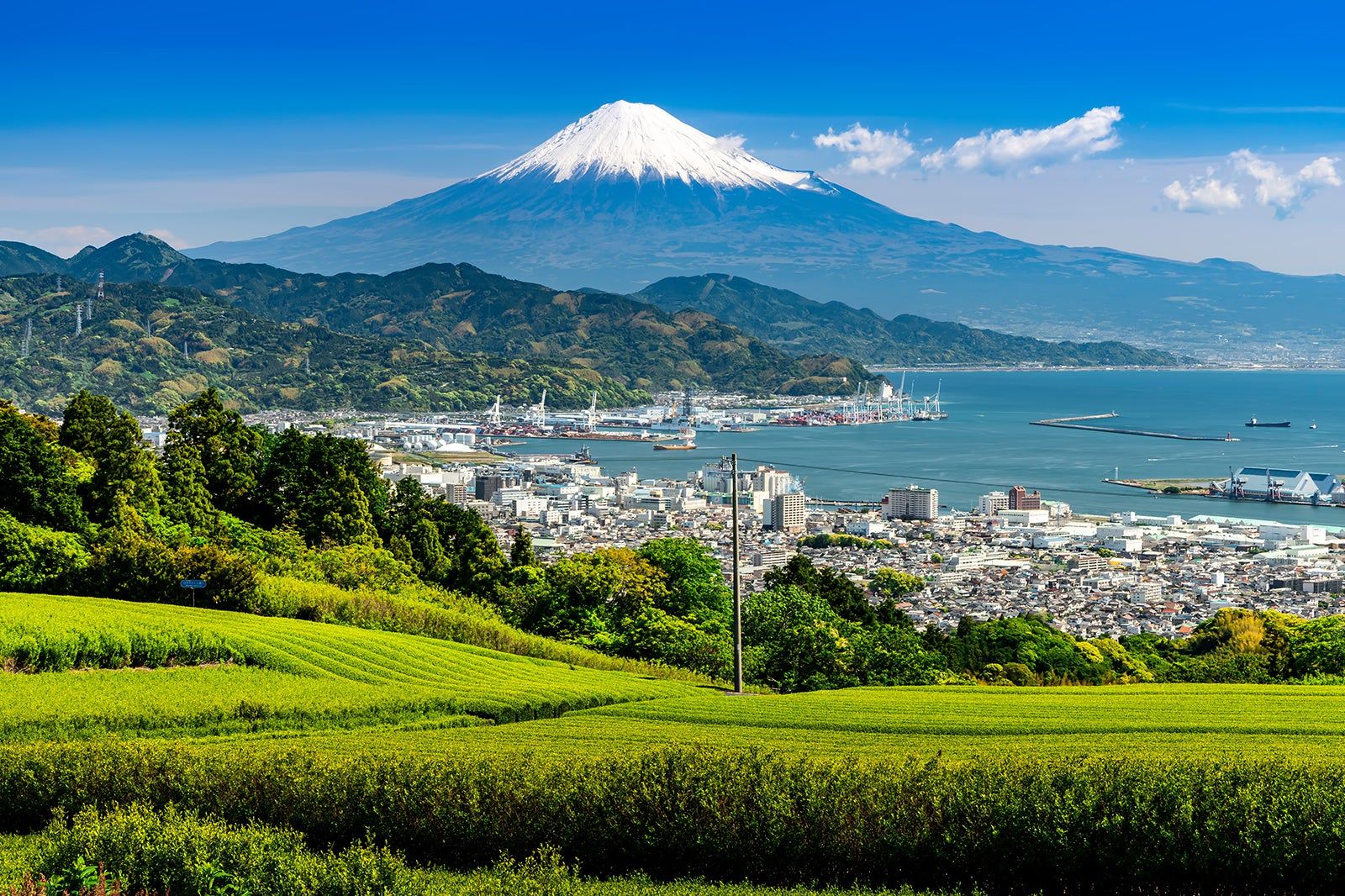 Shizuoka Travel Guide 