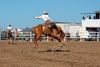 Suhls Rodeo