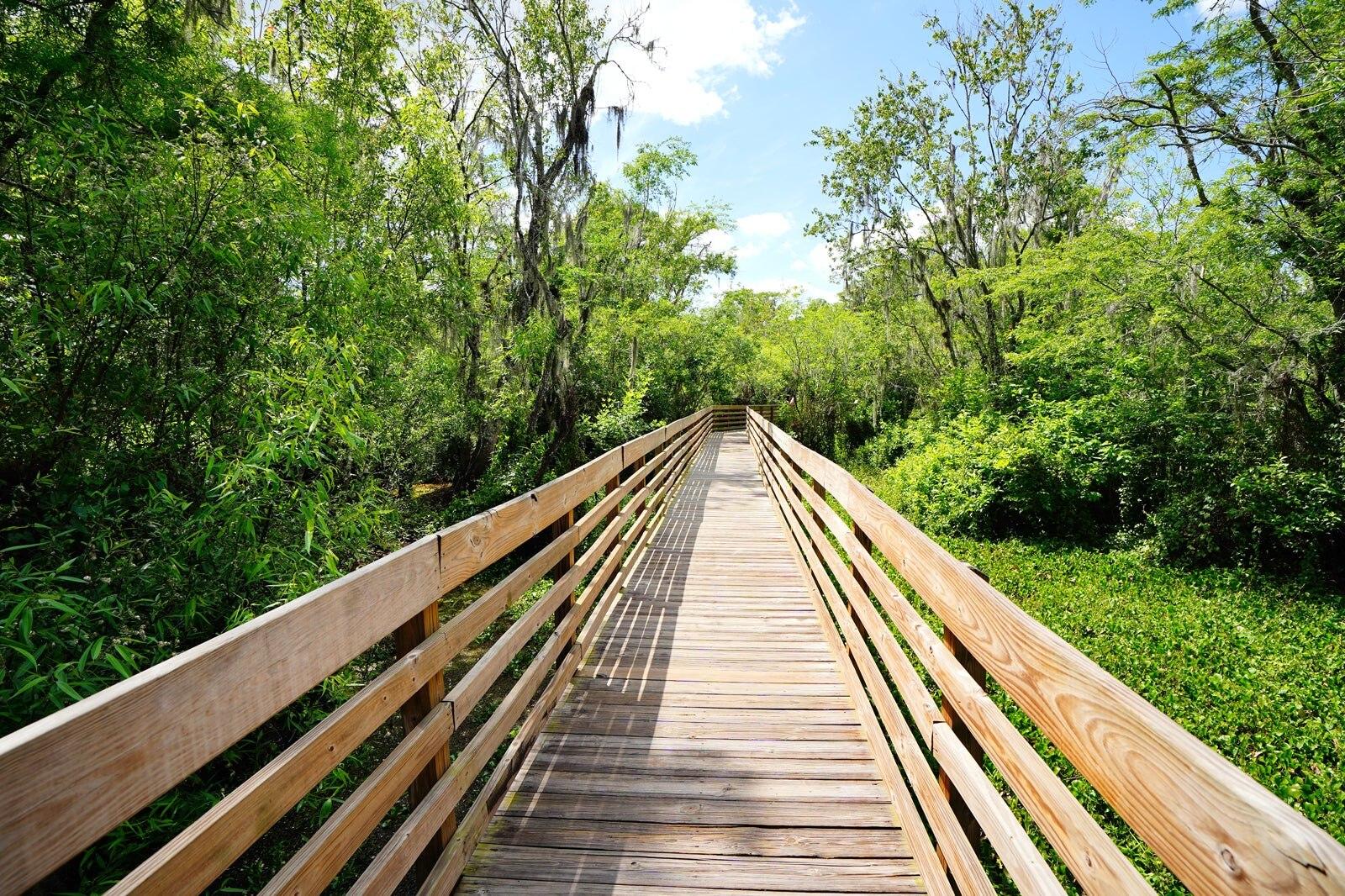 Lettuce Lake Regional Park