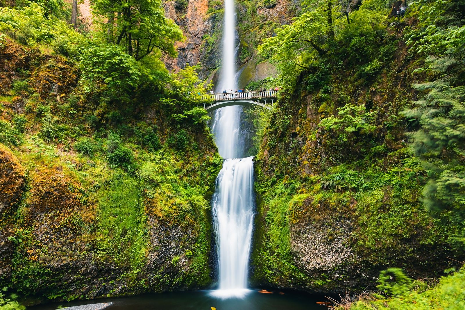 Best Hiking Trails Around Portland