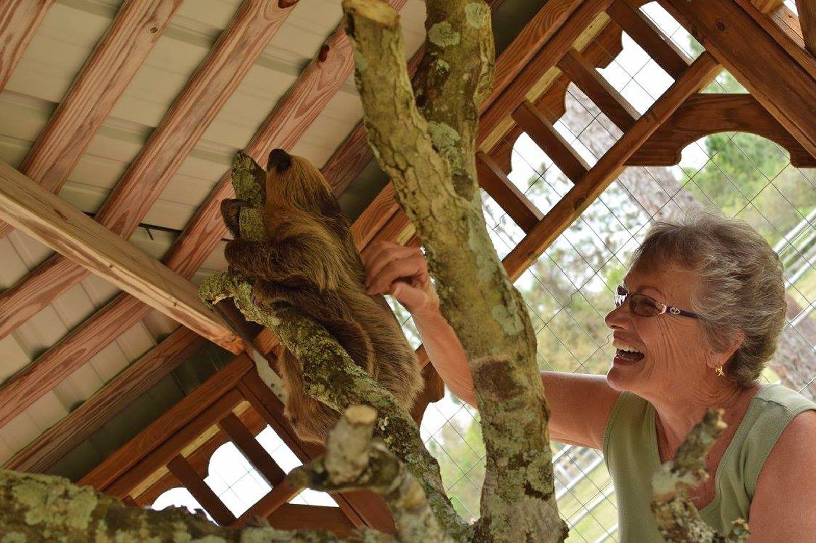 Exotic Animal Experience Orlando