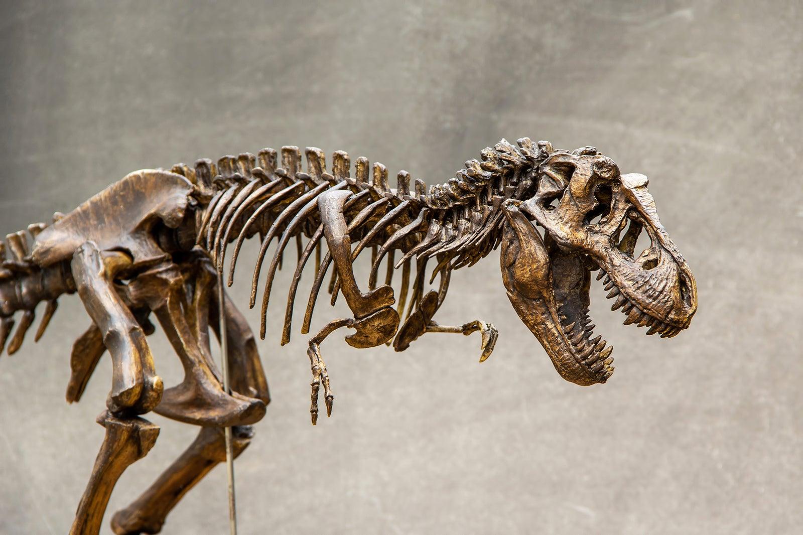 Houston Museum of Natural Science