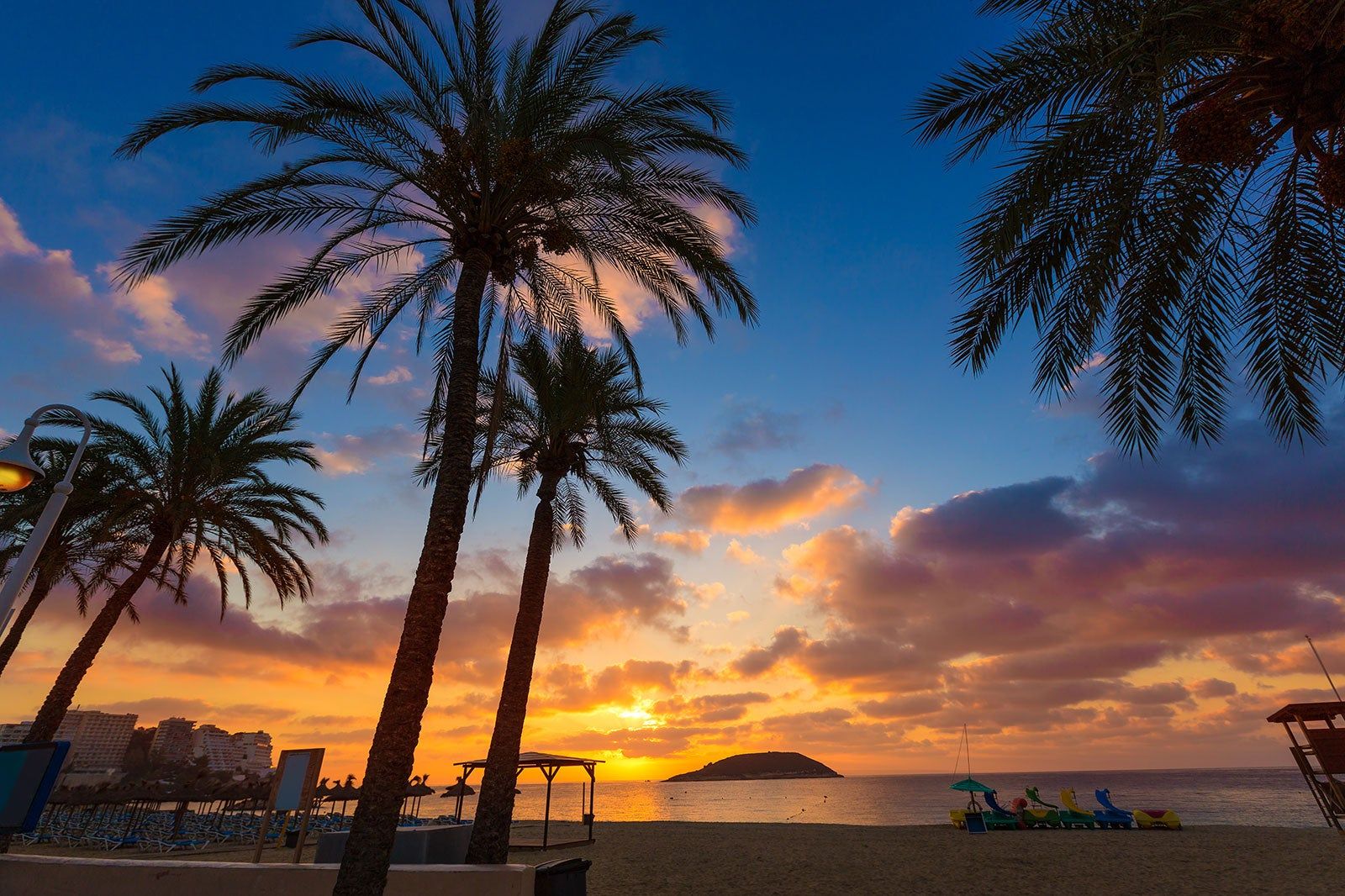 Palm trees and sunset over the water.