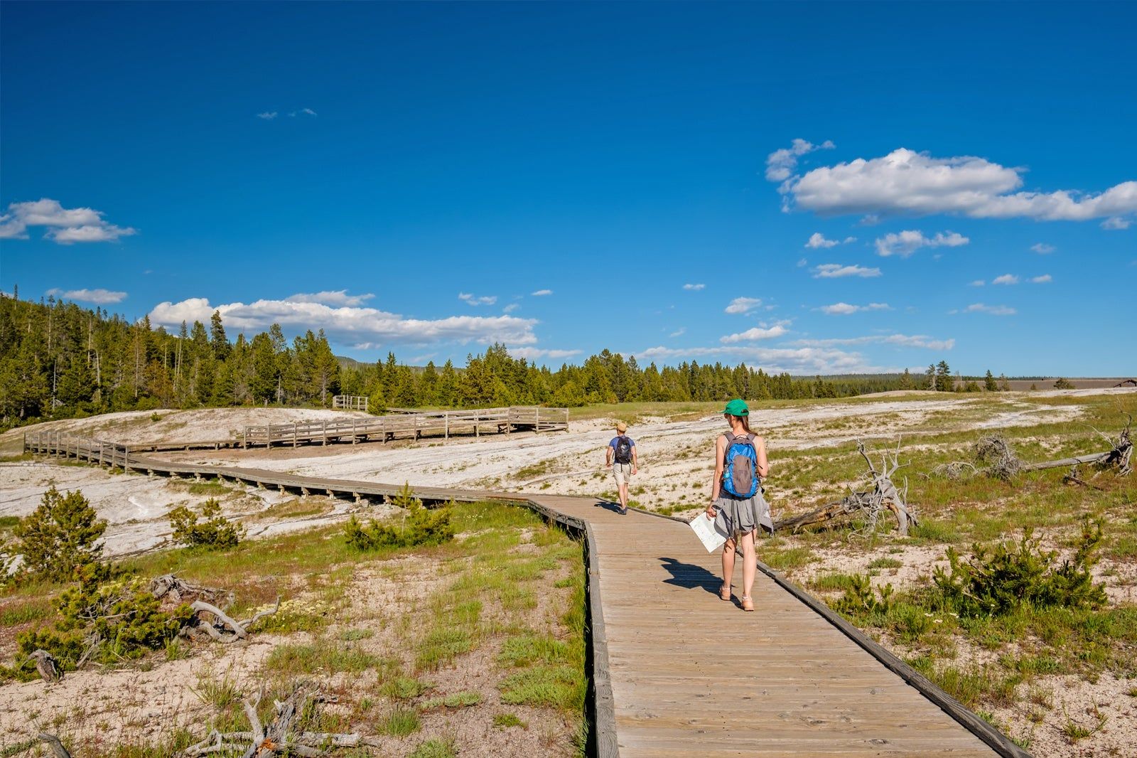 Best Hiking Trails in Yellowstone National Park