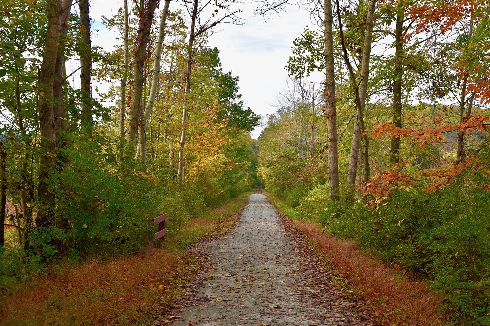 Best Walking Trails in Reading