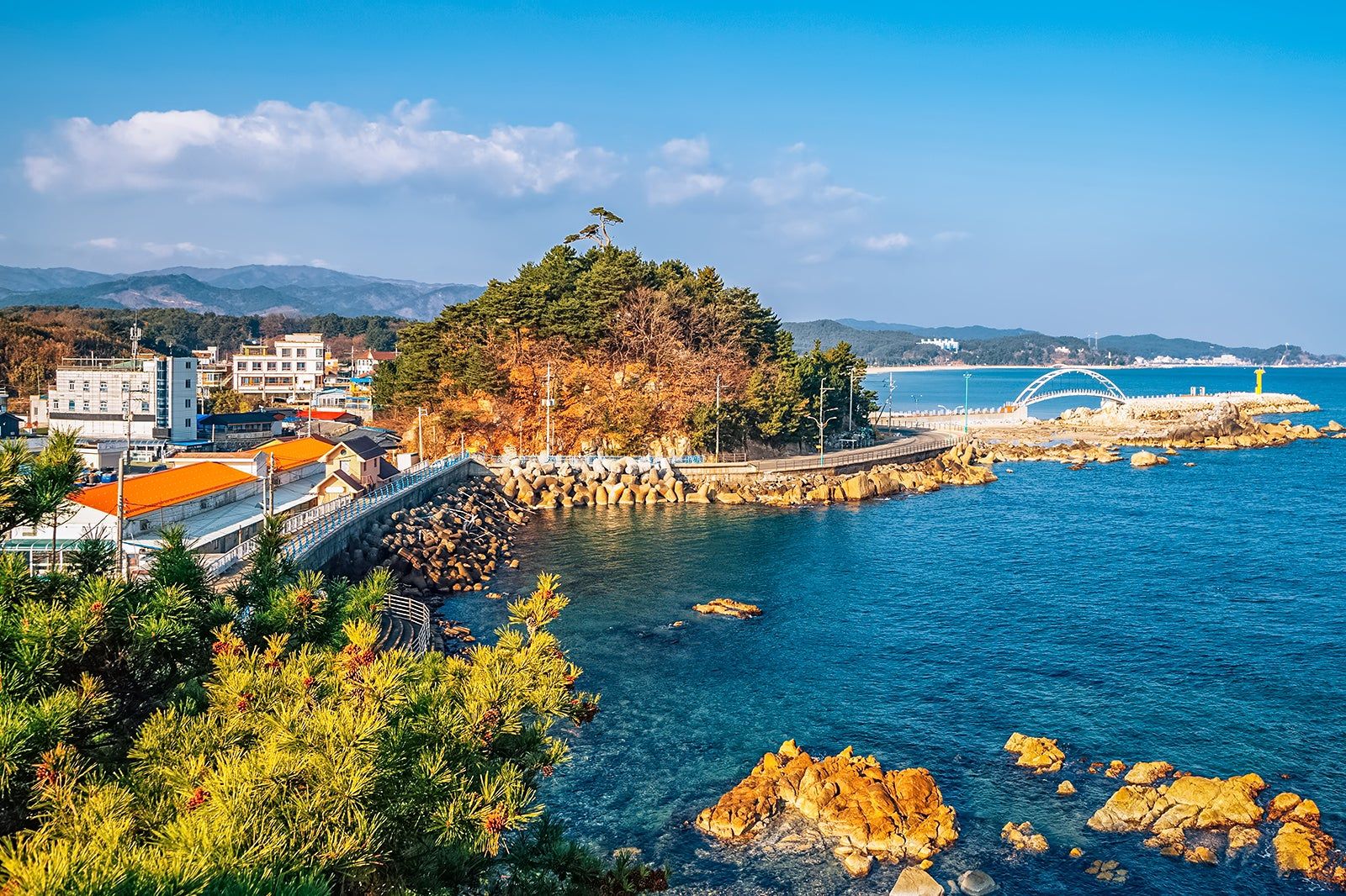 Yangyang Travel Essentials