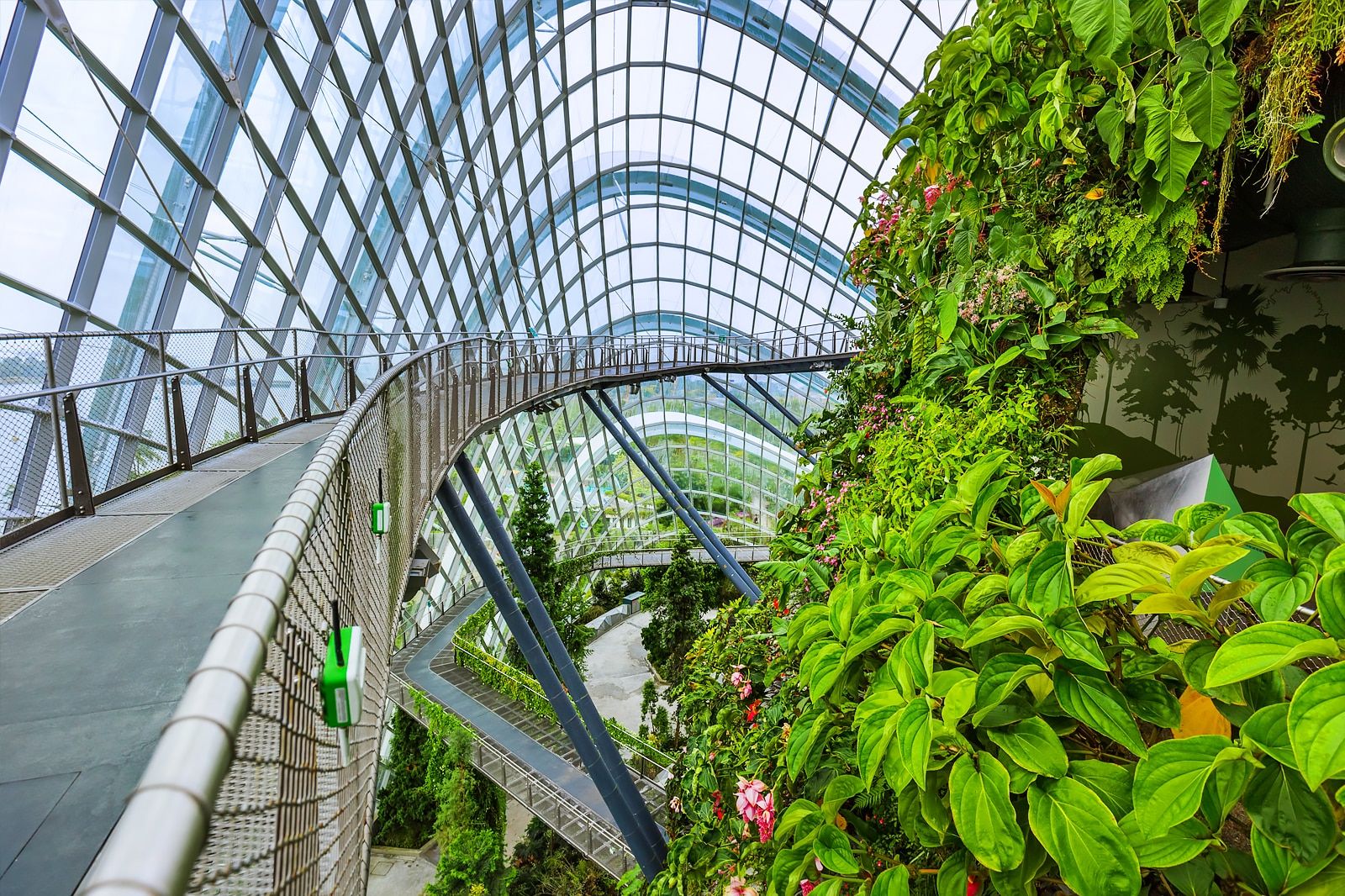 Best Things to Do in Singapore When it Rains