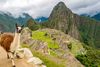 photo by <a href="https://pixabay.com/photos/peru-machu-picchu-lama-2774925/" target="_blank" rel="noreferrer">mailanmaik</a> (<a href="https://creativecommons.org/share-your-work/public-domain/cc0/" target="_blank" rel="noreferrer">CC0</a>) modified