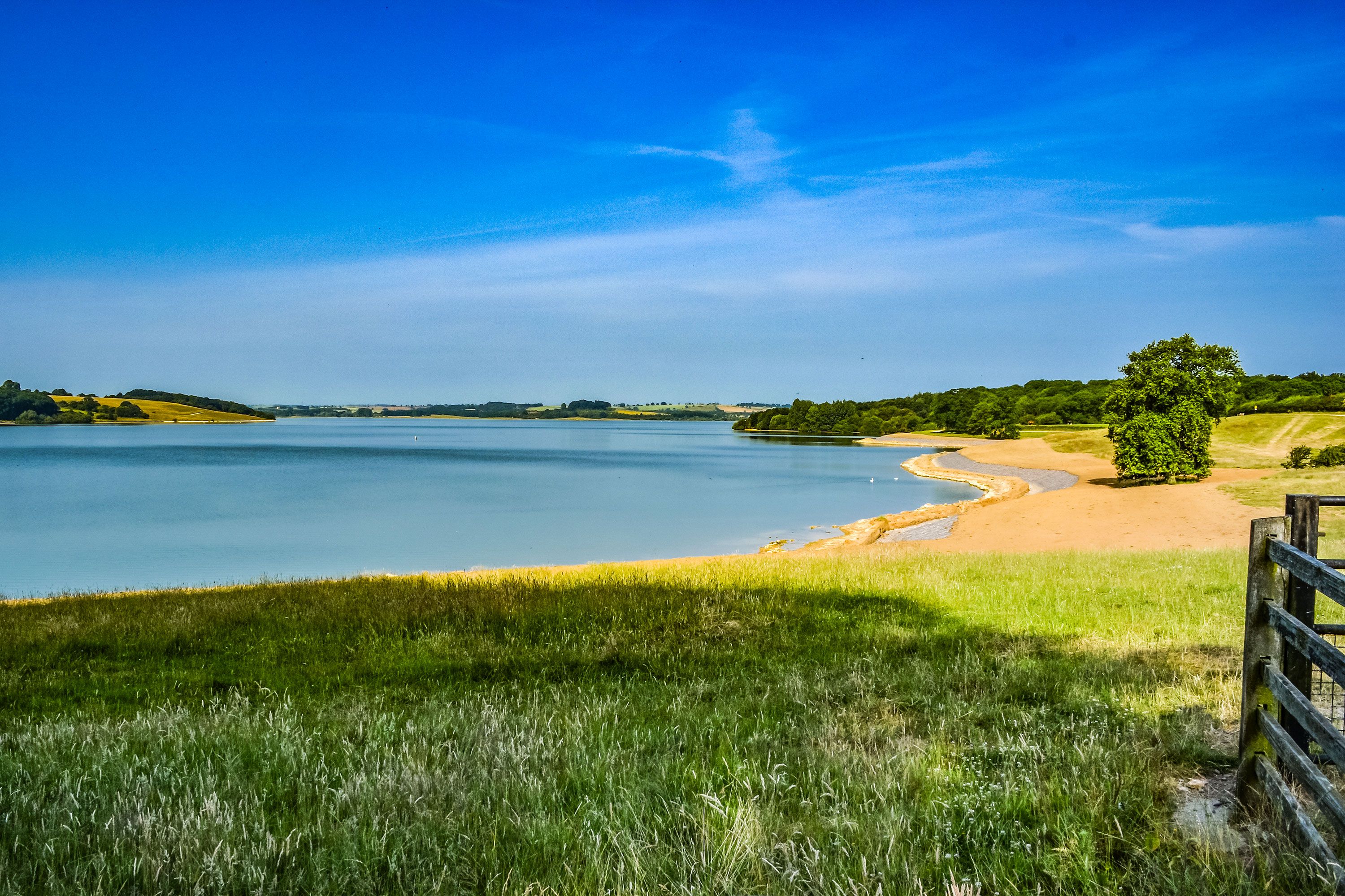 The grassy shore and the shoreline of Rutland Water, a large reservoir in Leicestershire.