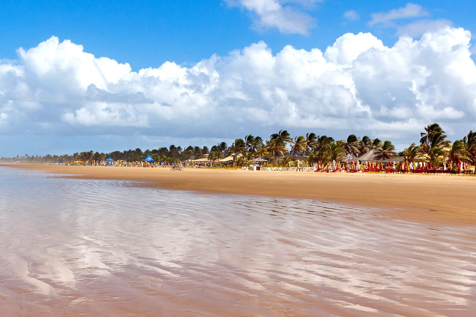 11 passeios imperdíveis em Aracaju