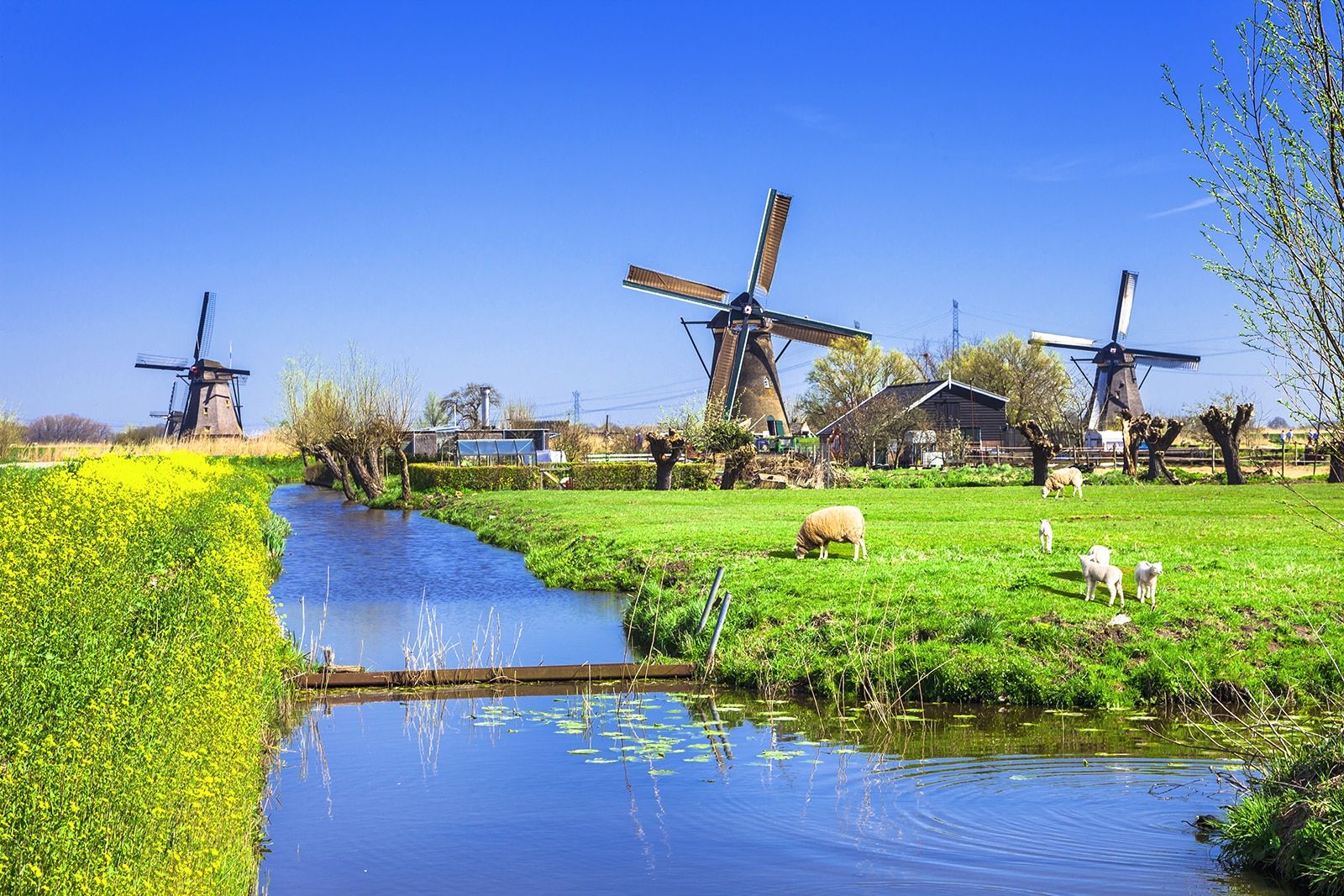Best Road Trips near Amsterdam