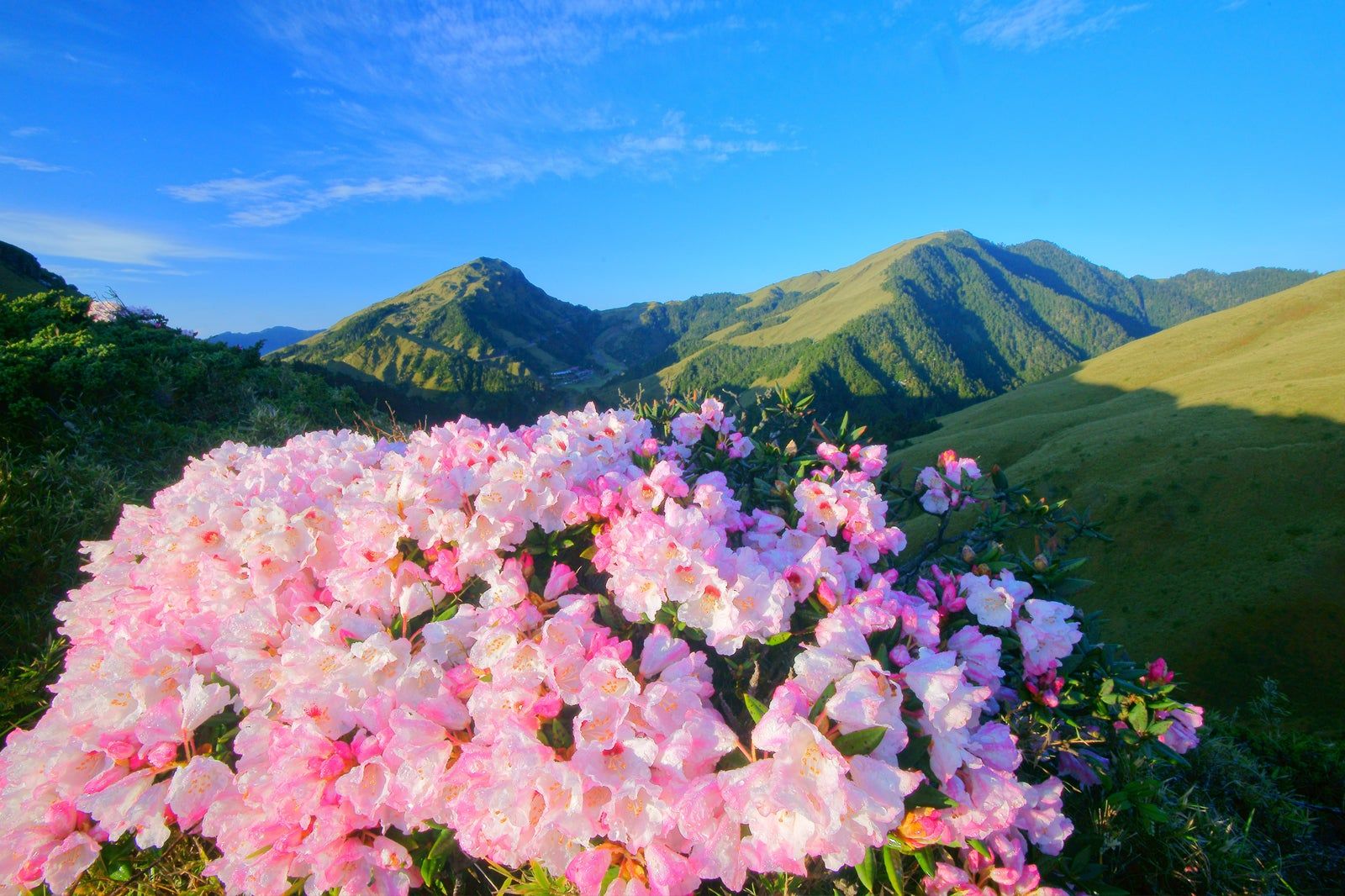 10 Best Things to Do for Couples in Nantou