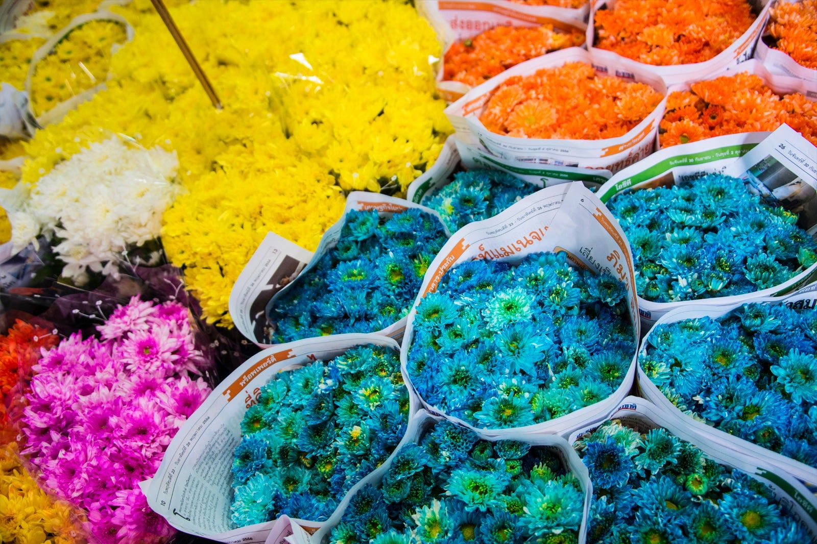 Shopping in Bangkok Old Town