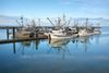 10 Best Things to Do in Richmond BC