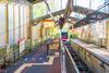 Hakone Travel Essentials