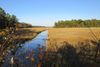 Foto de <a href="https://commons.wikimedia.org/wiki/File:Salt_marsh_and_creek_along_the_Junction_%5E_Breakwater_Trail_-_panoramio.jpg" target="_blank" rel="noreferrer">Art Anderson</a> (<a href="https://creativecommons.org/licenses/by-sa/3.0/" target="_blank" rel="noreferrer">CC BY-SA 3.0</a>) modificada