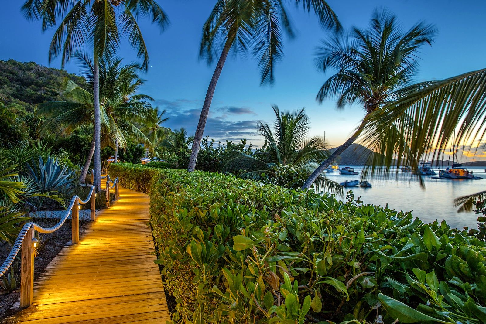 Things to Do at Night in the British Virgin Islands