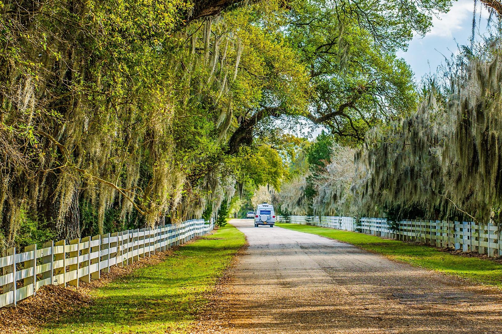 Best Road Trips near New Orleans
