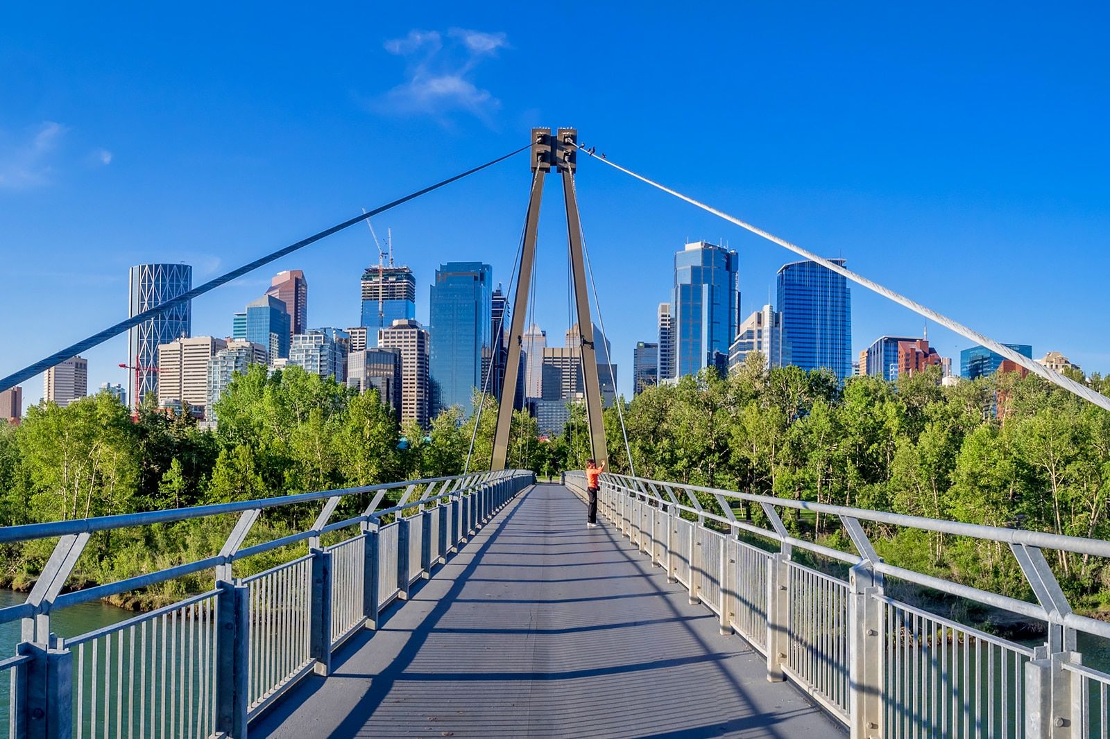 Best Things to Do in Calgary on a Small Budget