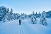 De bedste steder at stå på ski i Oslo